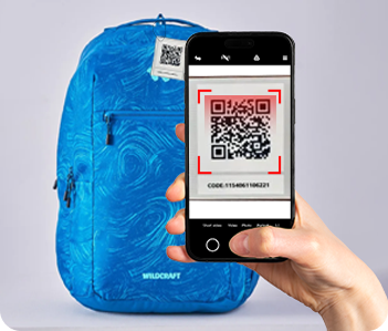 Festive Sales Case Study